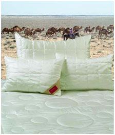 Верблюжье одеяло HEFEL Pure Camel